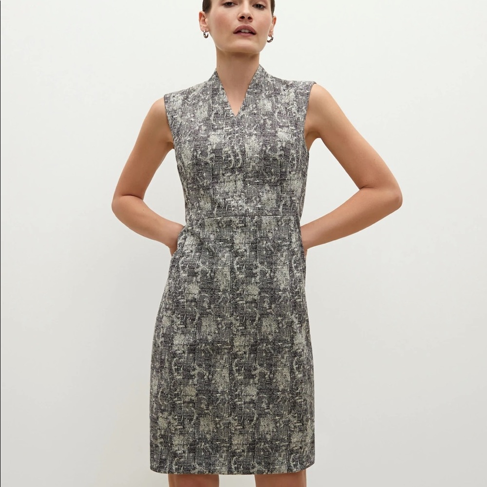 NWT The Aditi Dress - Crackle